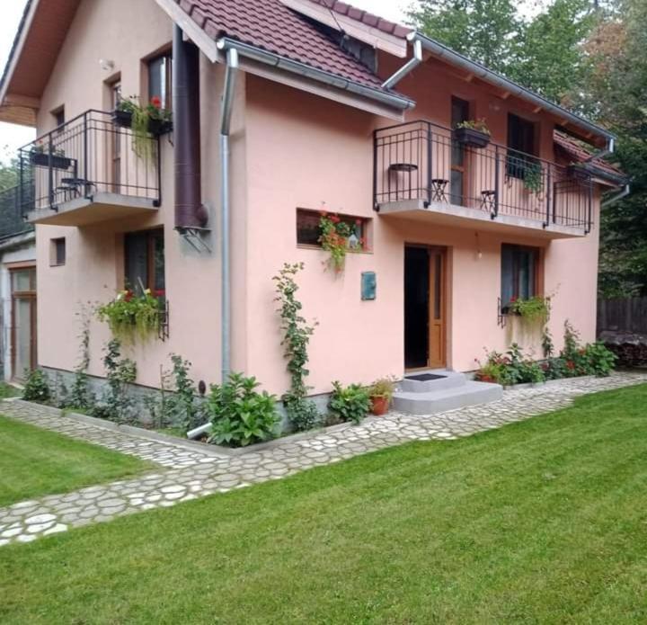 CîrţişoaraCasa Iulia & Matei别墅 外观 照片