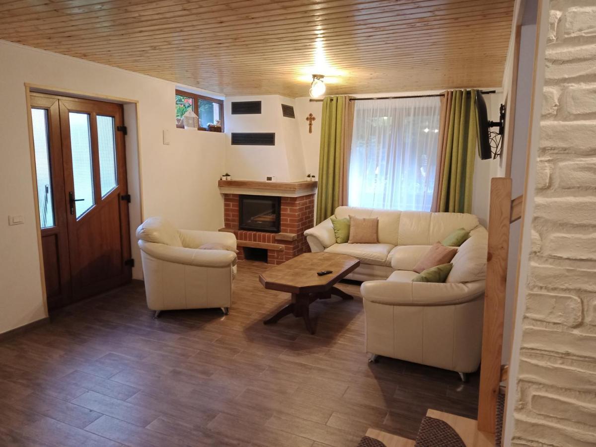 CîrţişoaraCasa Iulia & Matei别墅 外观 照片